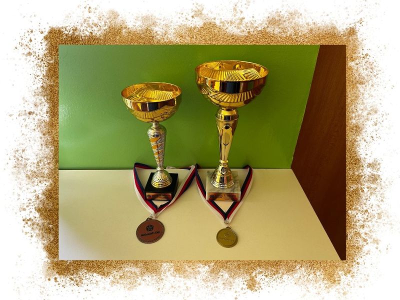 Mc Donald’s Cup 2025