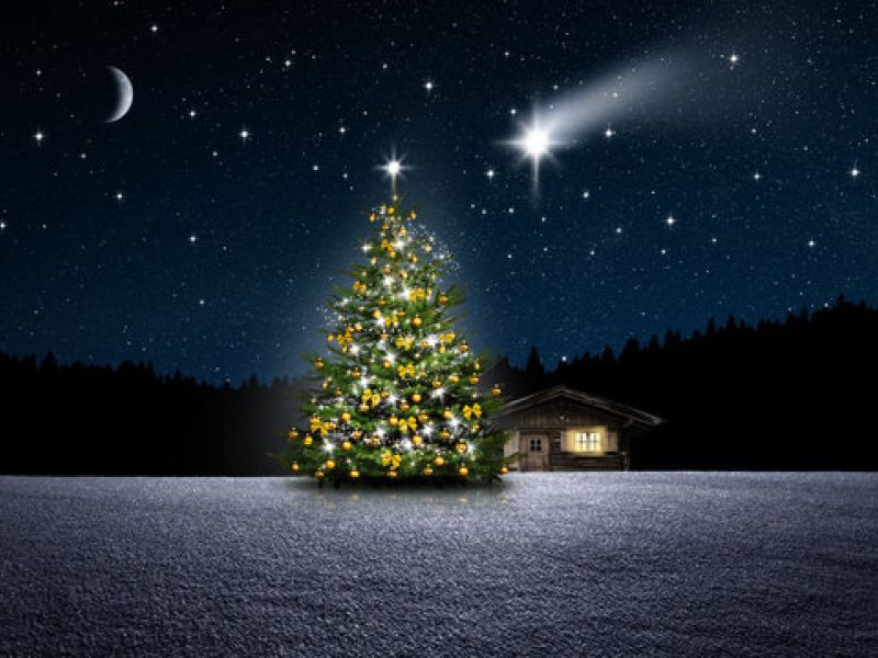 Rozsvěcování vánočního stromu